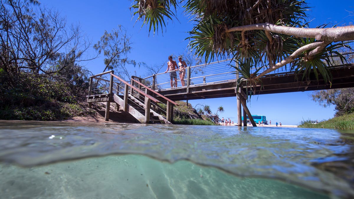 eli-creek-kgari-fraser-island-image eli-creek-kgari-fraser-island-image