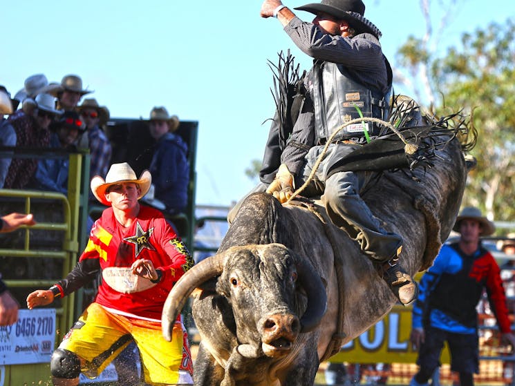 Jindabyne Rodeo