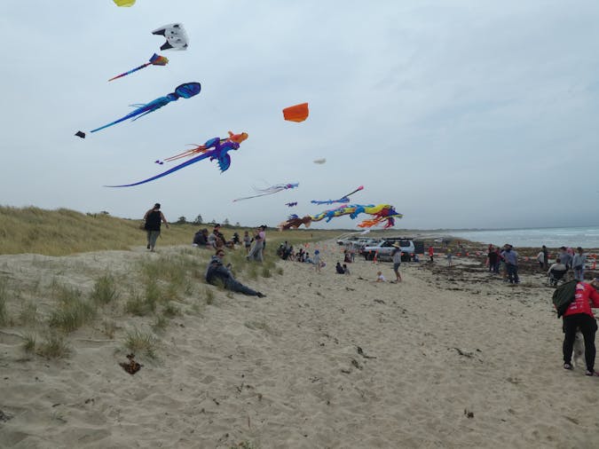 School Holiday Activities in Wattle Range Full Throttle in Wattle October