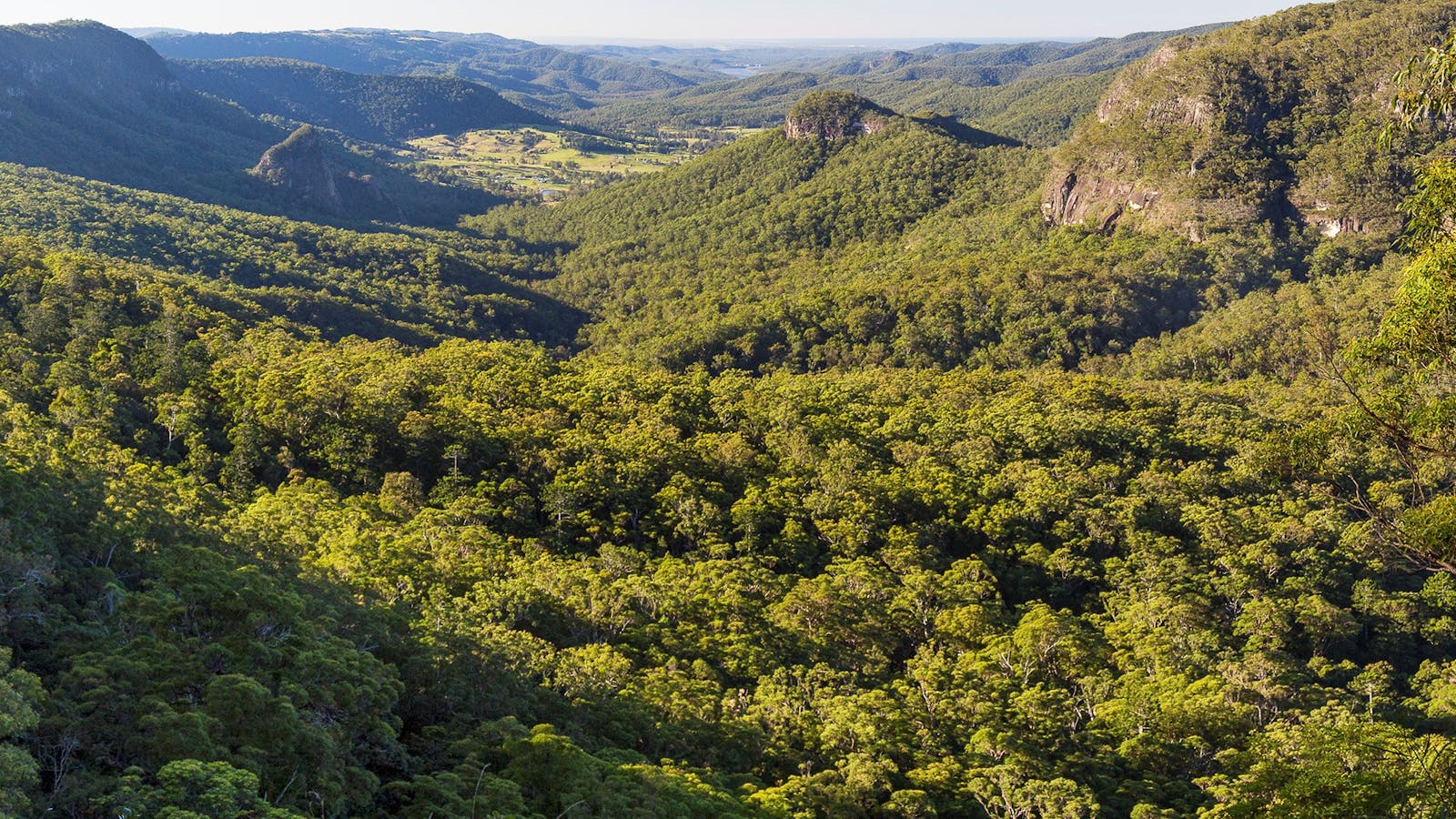 Gold Coast Hinterland Great Walk