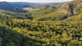 View down forested valley.