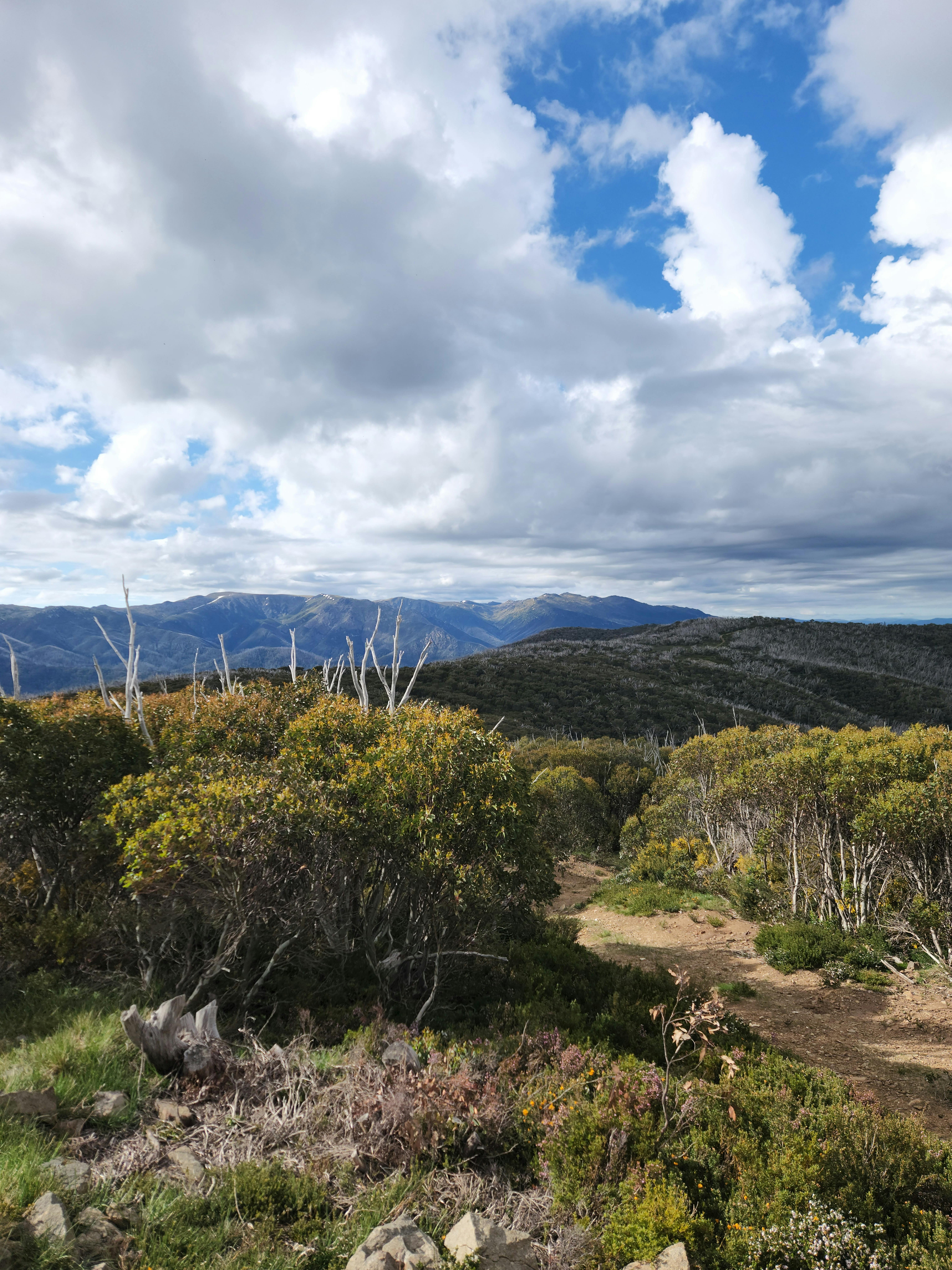 Build your own adventure