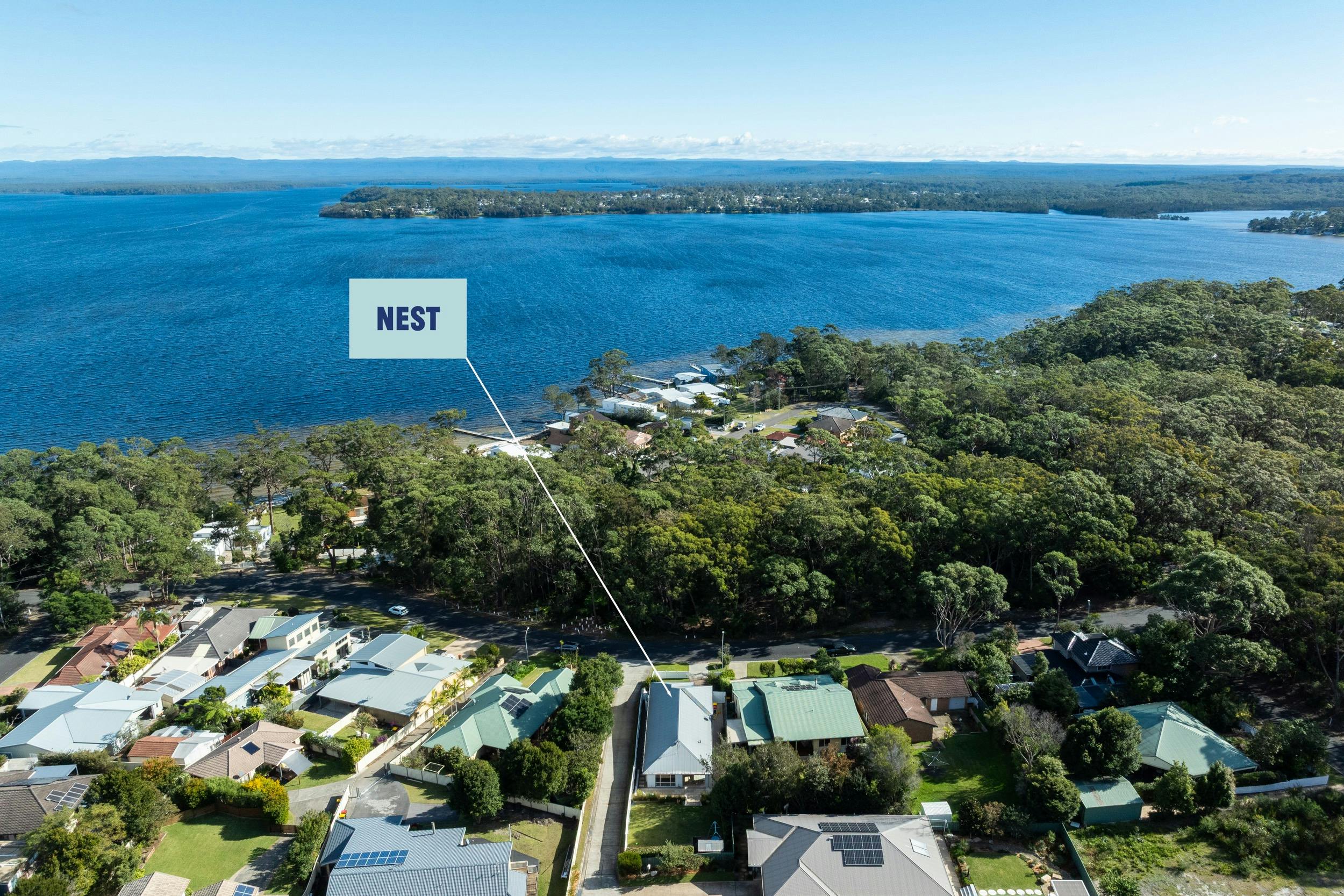 네스트 사진작가 러셀 퀸