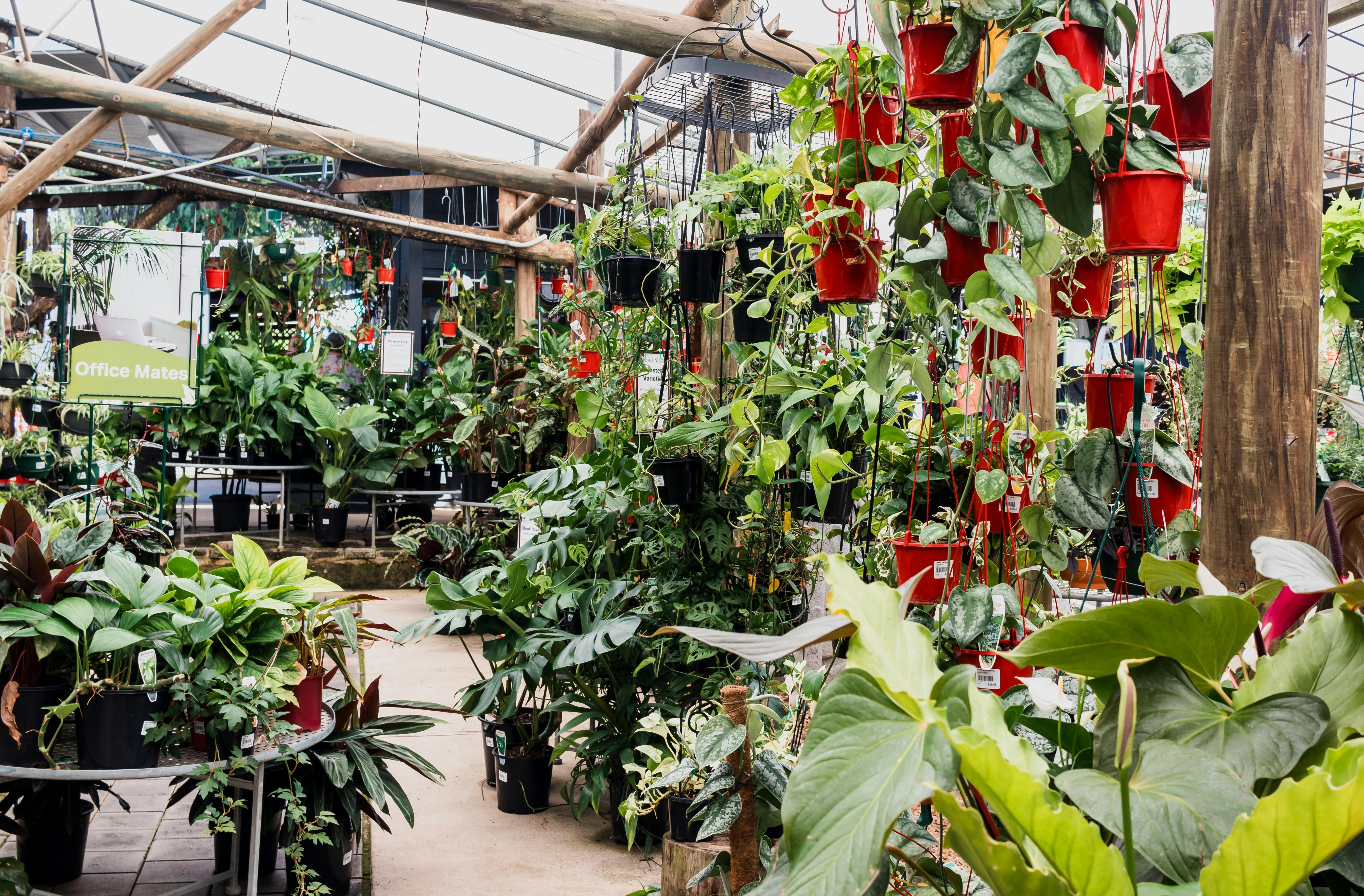 Limberlost Garden Centre