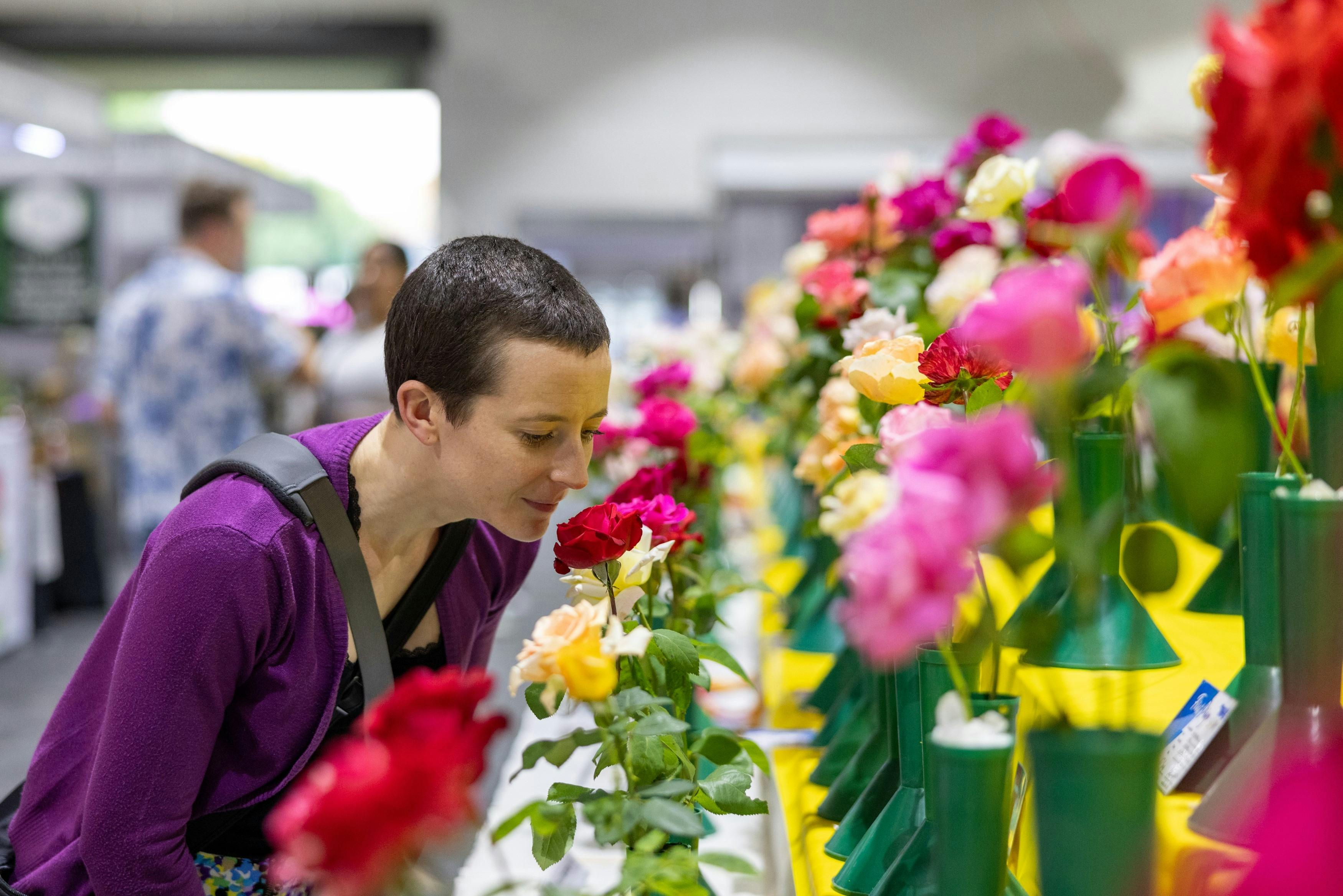 Person smelling flowers at the Royal Canberra Show Horticulture exhibit