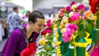 Person smelling flowers at the Royal Canberra Show Horticulture exhibit