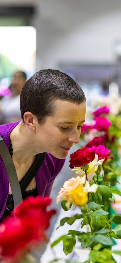 Person smelling flowers at the Royal Canberra Show Horticulture exhibit