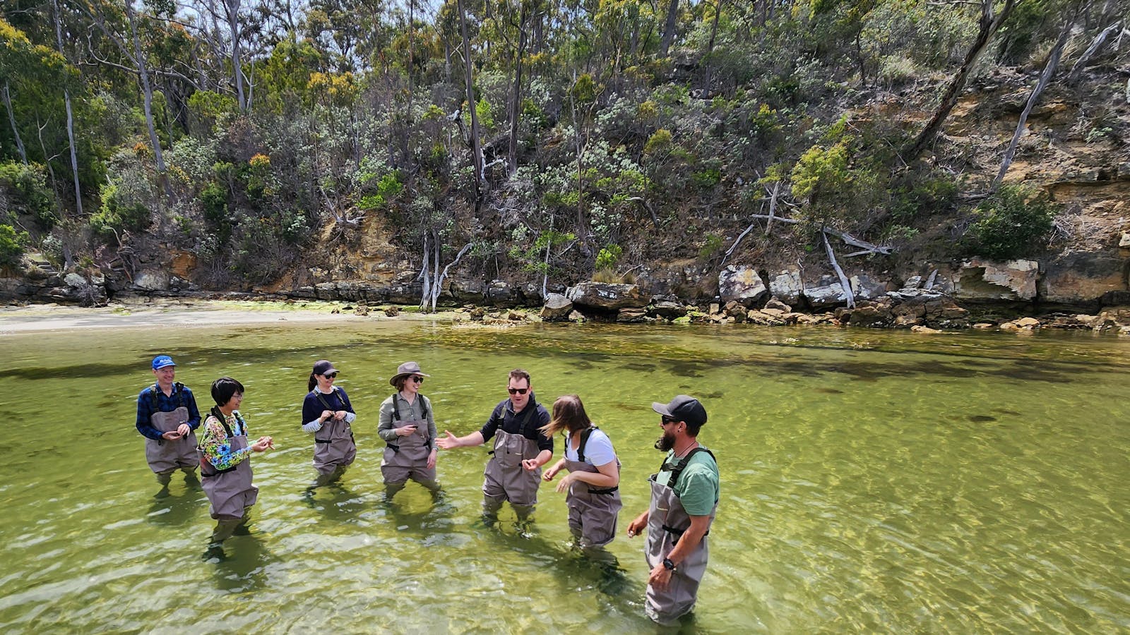 Guests wading in the water