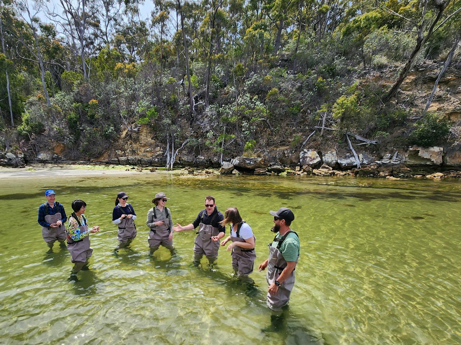 Guests wading in the water in a group enjoying themselves and laughing