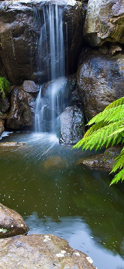 Rock Garden Waterfall