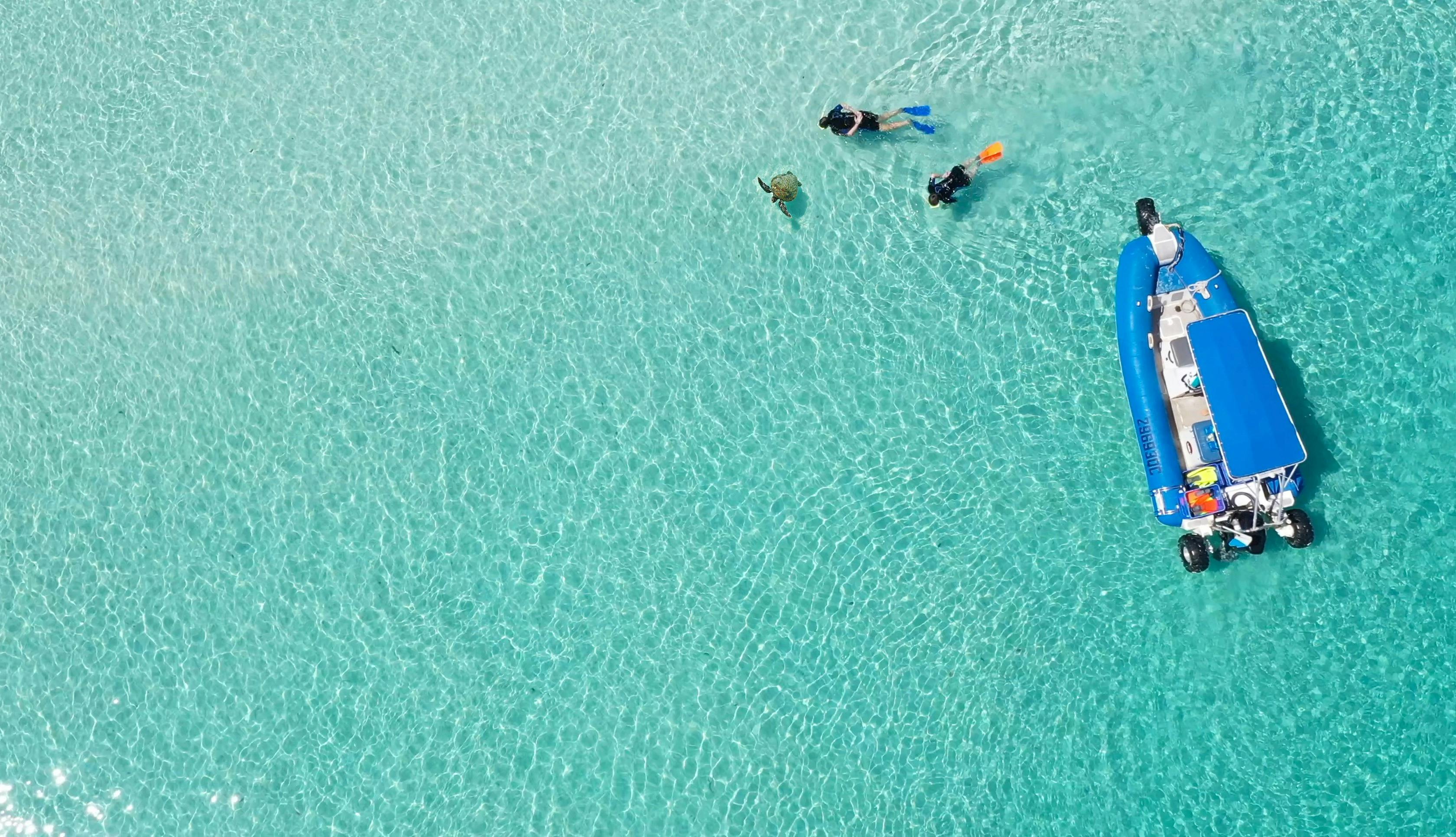 Wathumba Creek Snorkelling