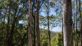 Basin Loop Track