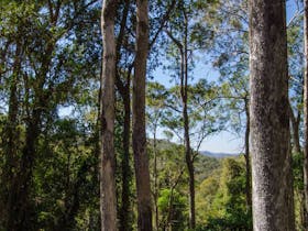 Basin Loop Track