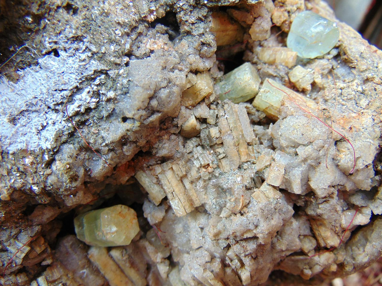 Image for National Gem Show