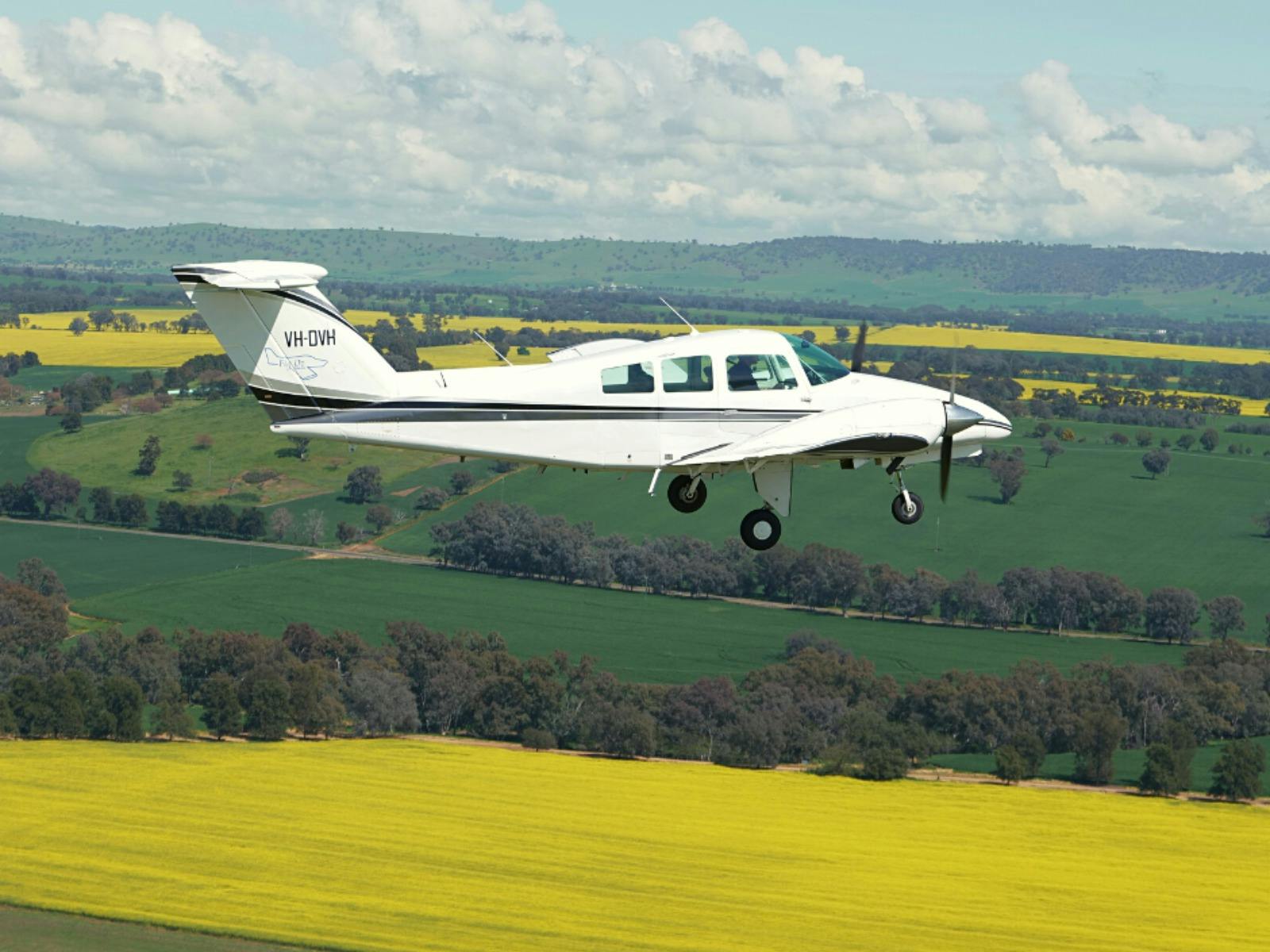 Fly Oz Canola