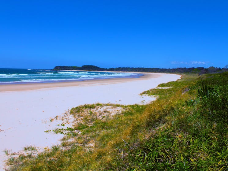 Looking south to Bluff Beach, Frazers Reef, Iluka.