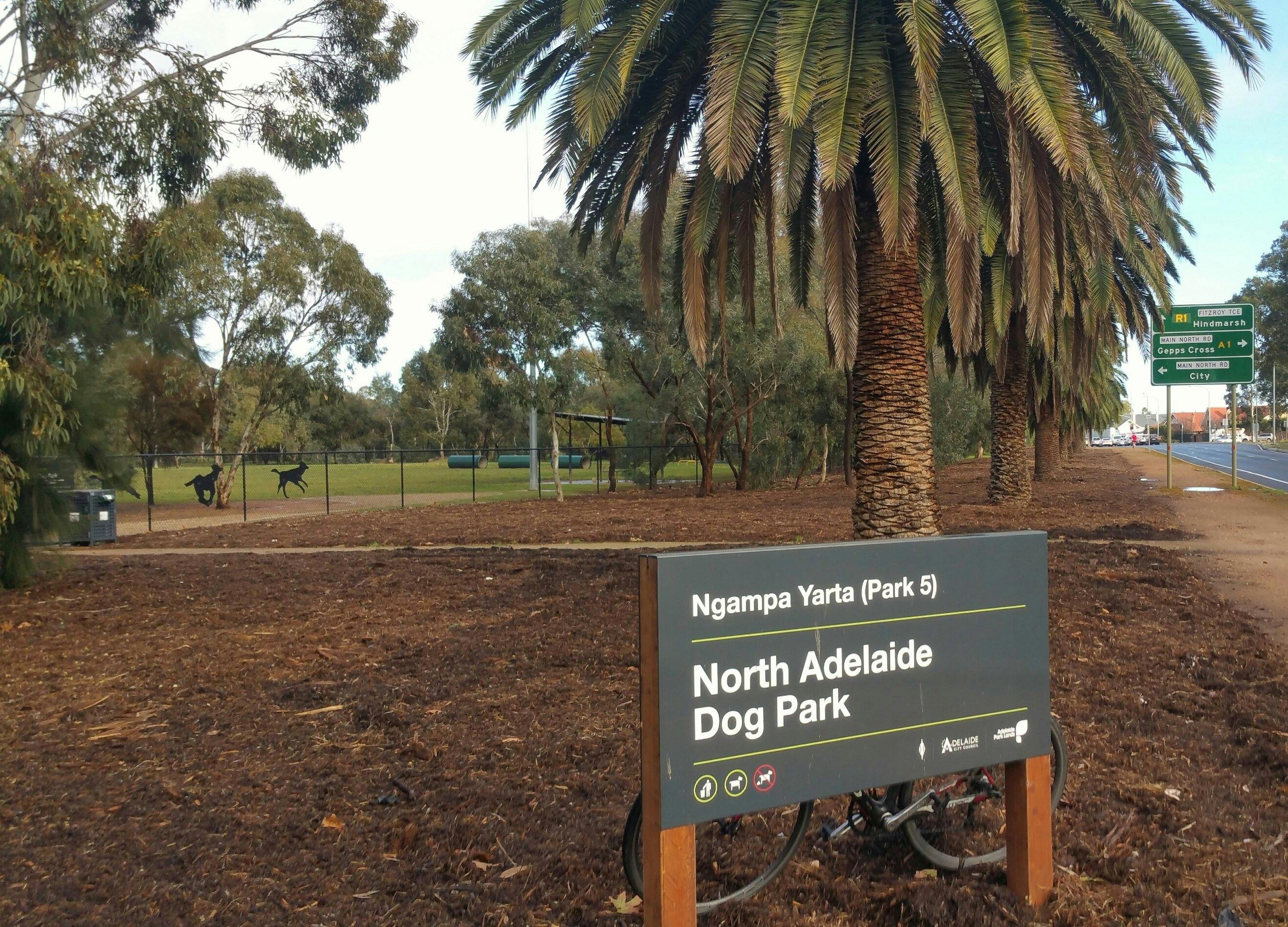 Bragg Park / Ngampa Yarta (Park 5)