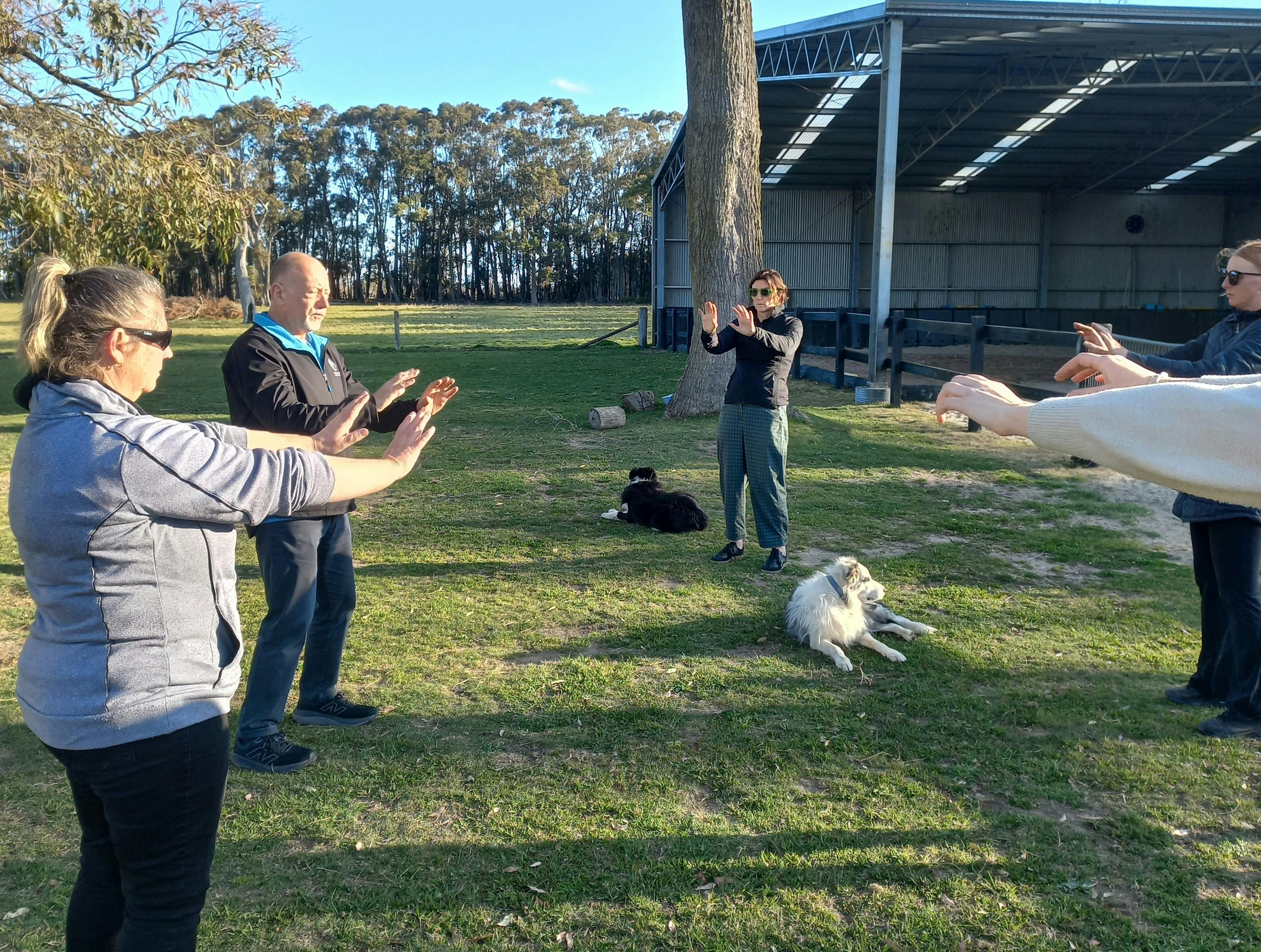 people doing Tai Chi in paddock