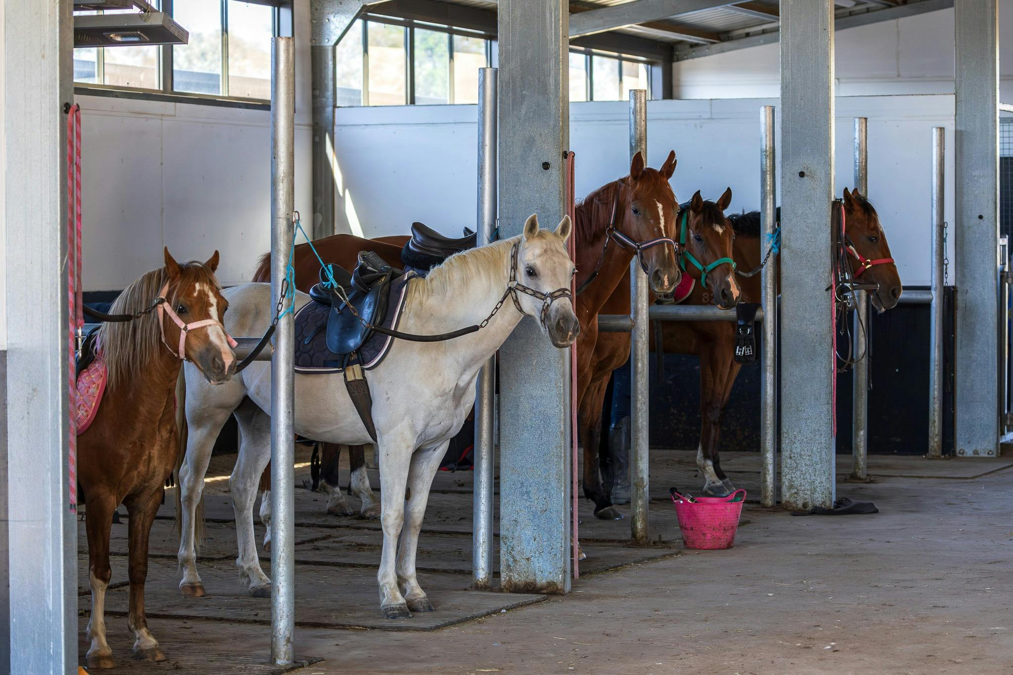 All shapes and sizes