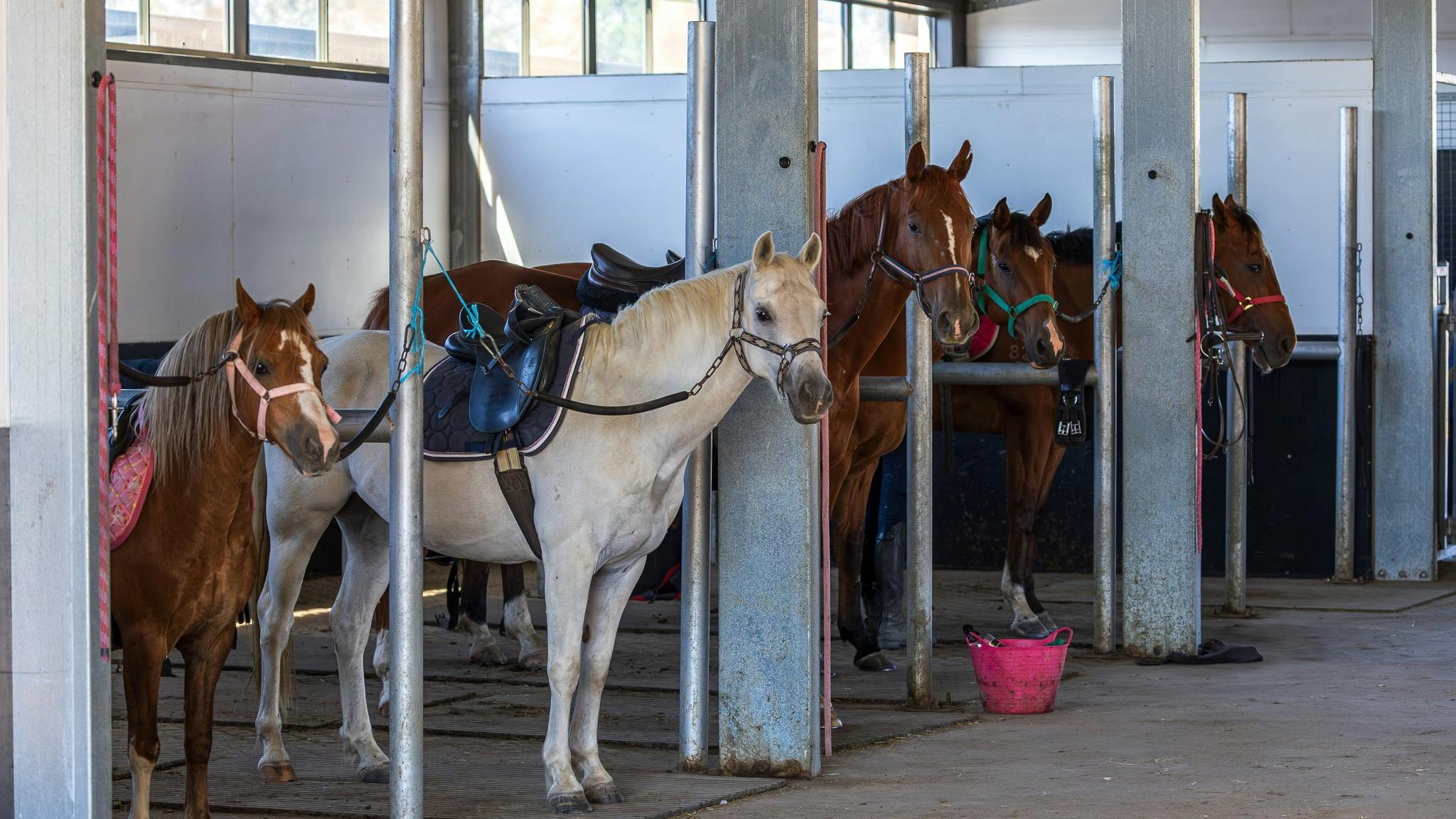 All shapes and sizes