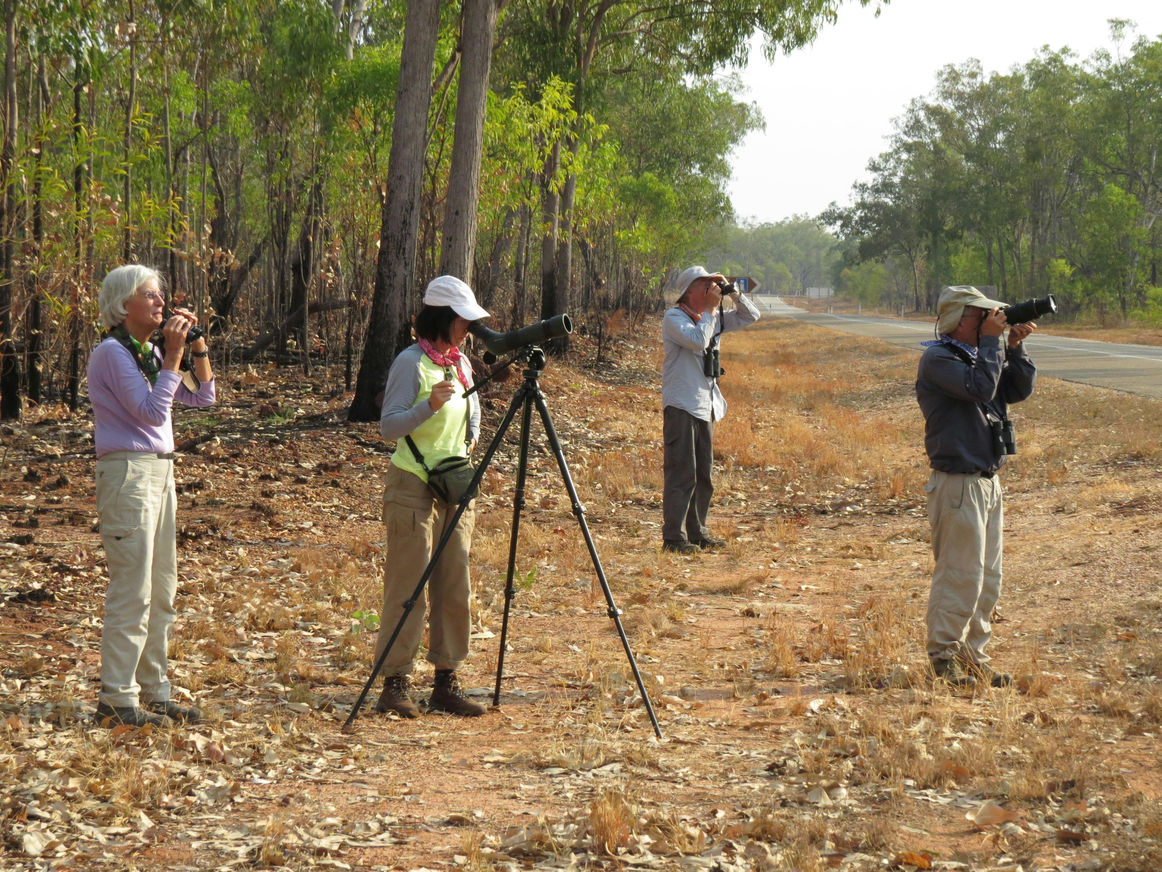 Red Goshawk birdwatching tours with Luke Paterson NT Birding Specialists