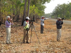 Red Goshawk birdwatching tours with Luke Paterson NT Birding Specialists