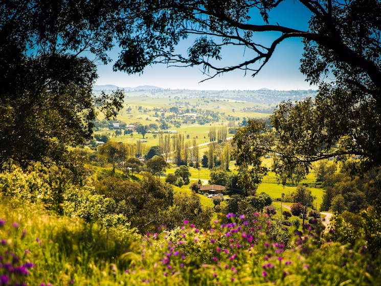 The pretty village of Jugiong on the banks of the Murrumbidgee River