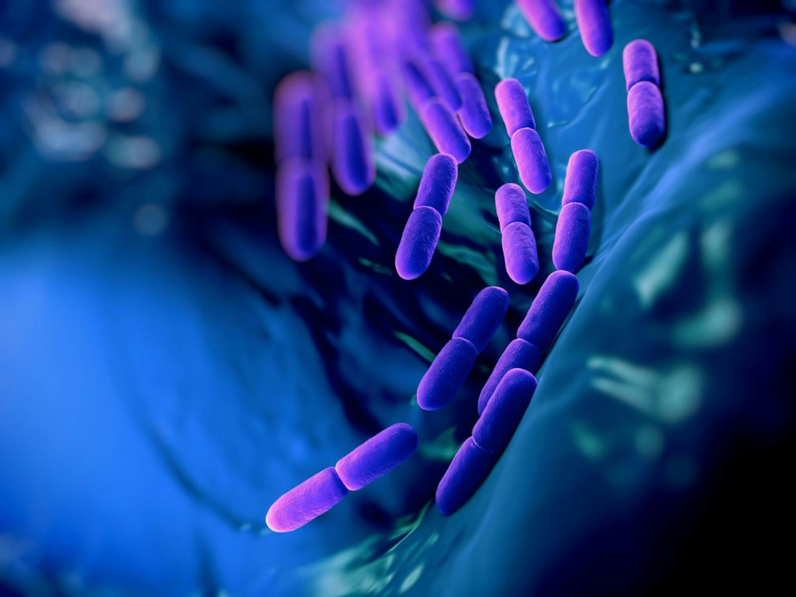 Science in the Pub - Mighty Microbes
