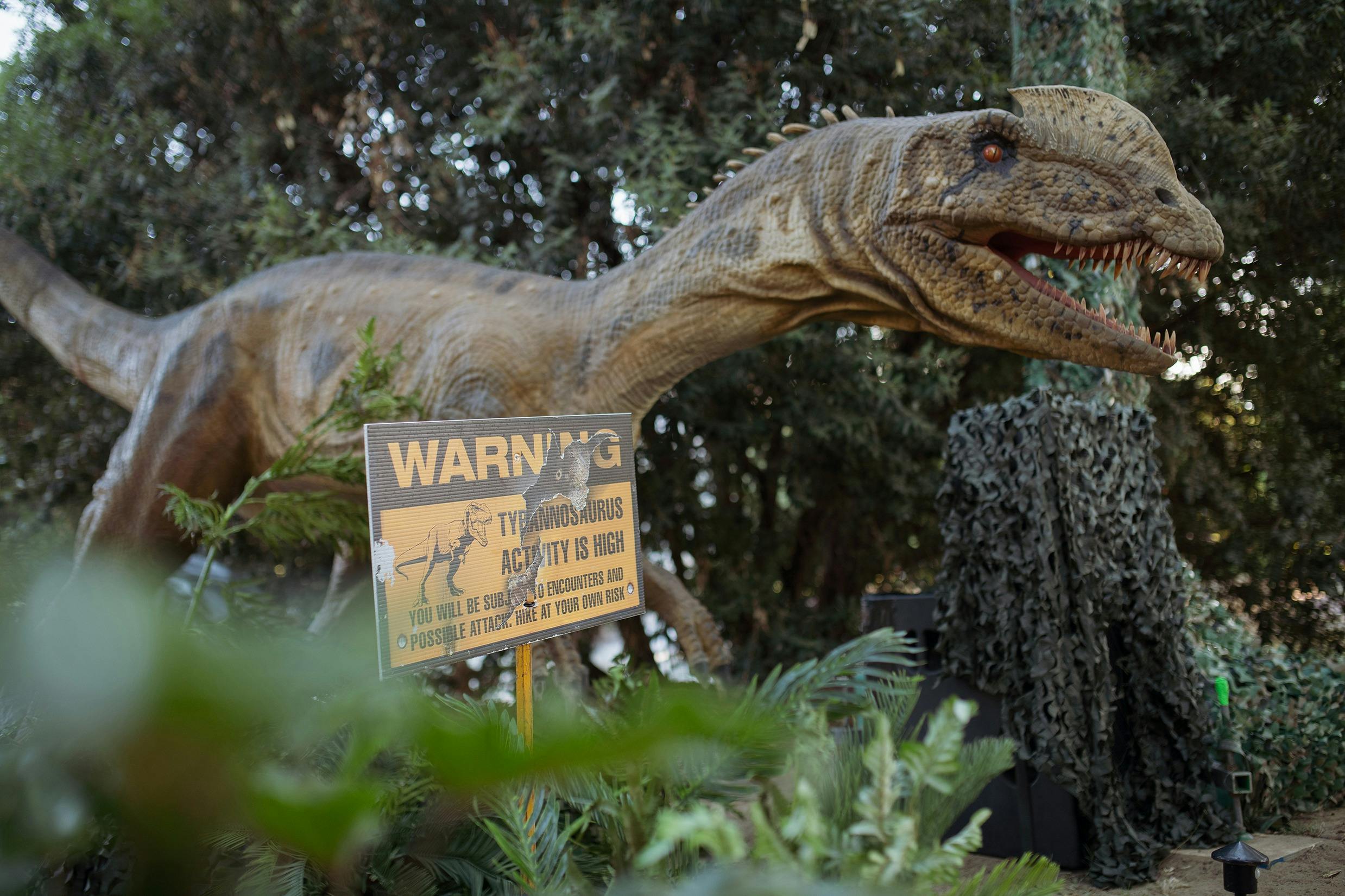 A life-size animatronic dinosaur standing near a dinosaur warning sign.