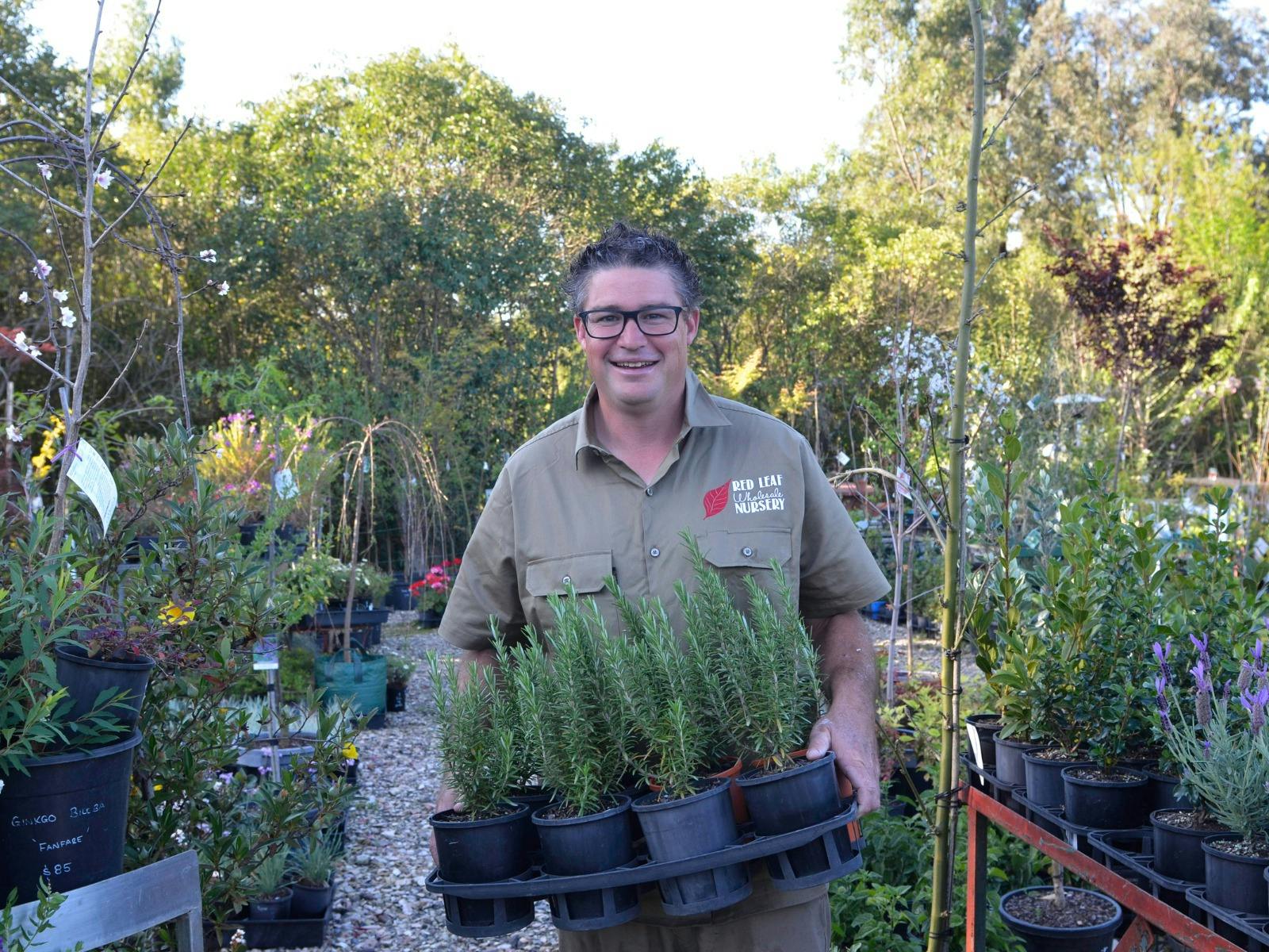 红叶批发苗圃的老板