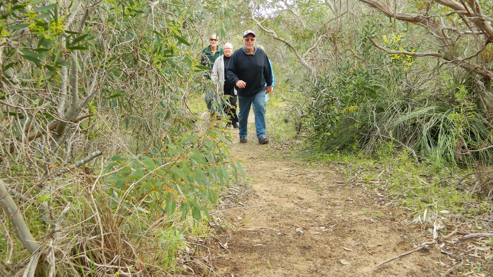 Meningie Lions Walking Trail