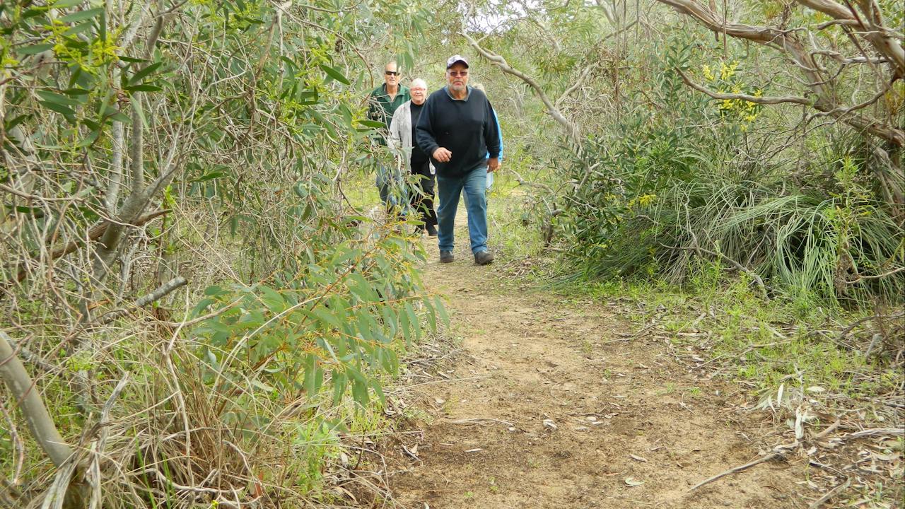 Meningie Lions Walking Trail