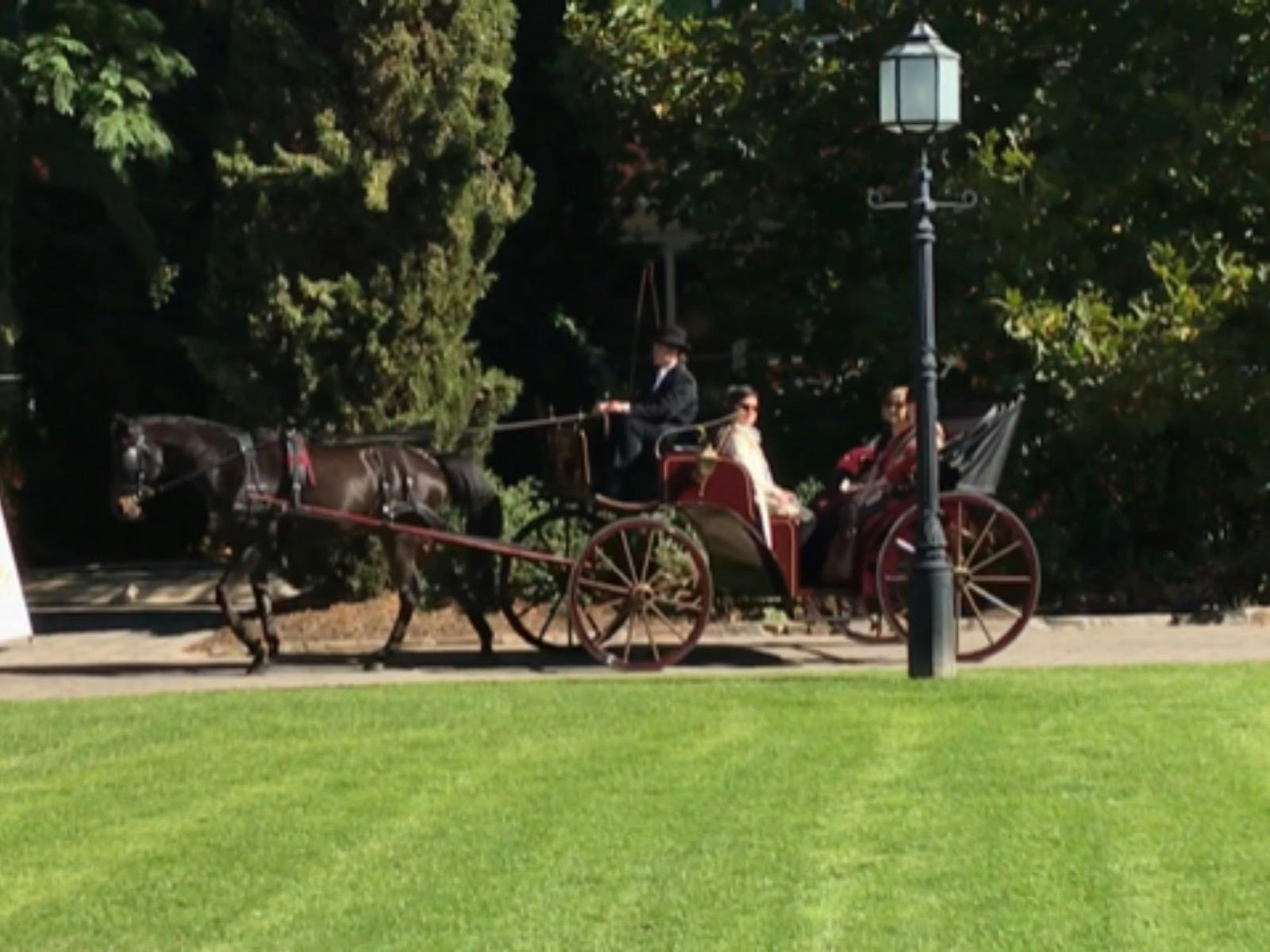 Calvin and Victoria Carriage at Ayres House