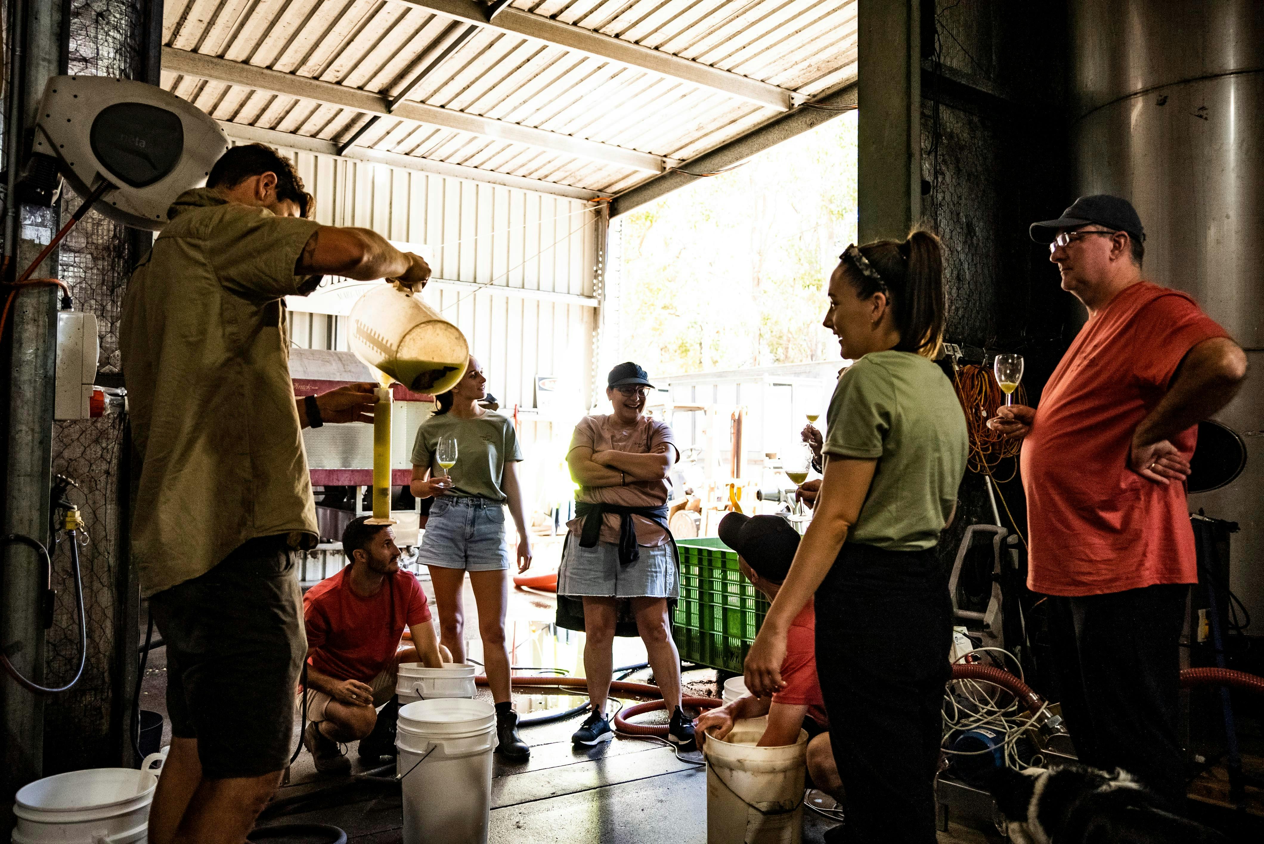 Hands-on group activity - red wine blending
