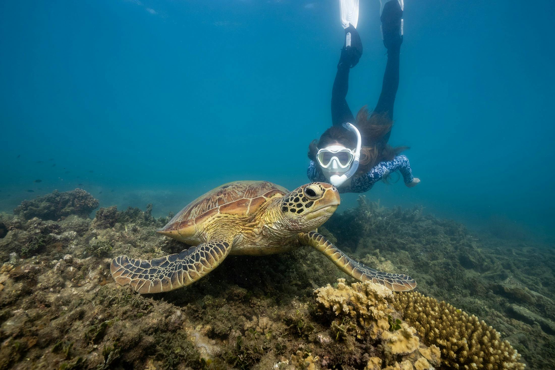 Snorkel Safari Tour