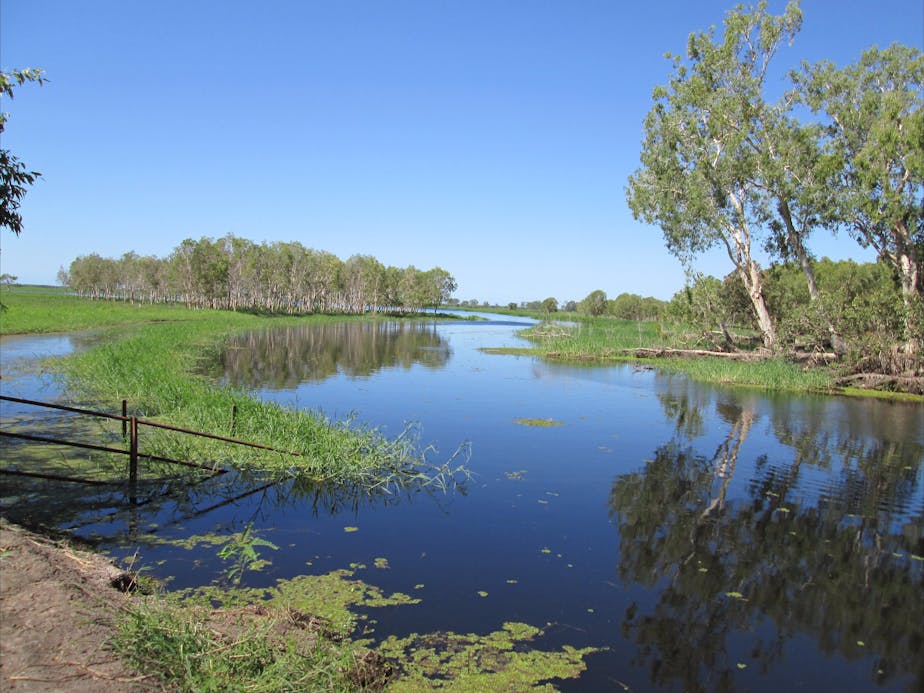 Drive North Queensland | Ayr