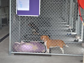 Access to outer grassed yard for all guests