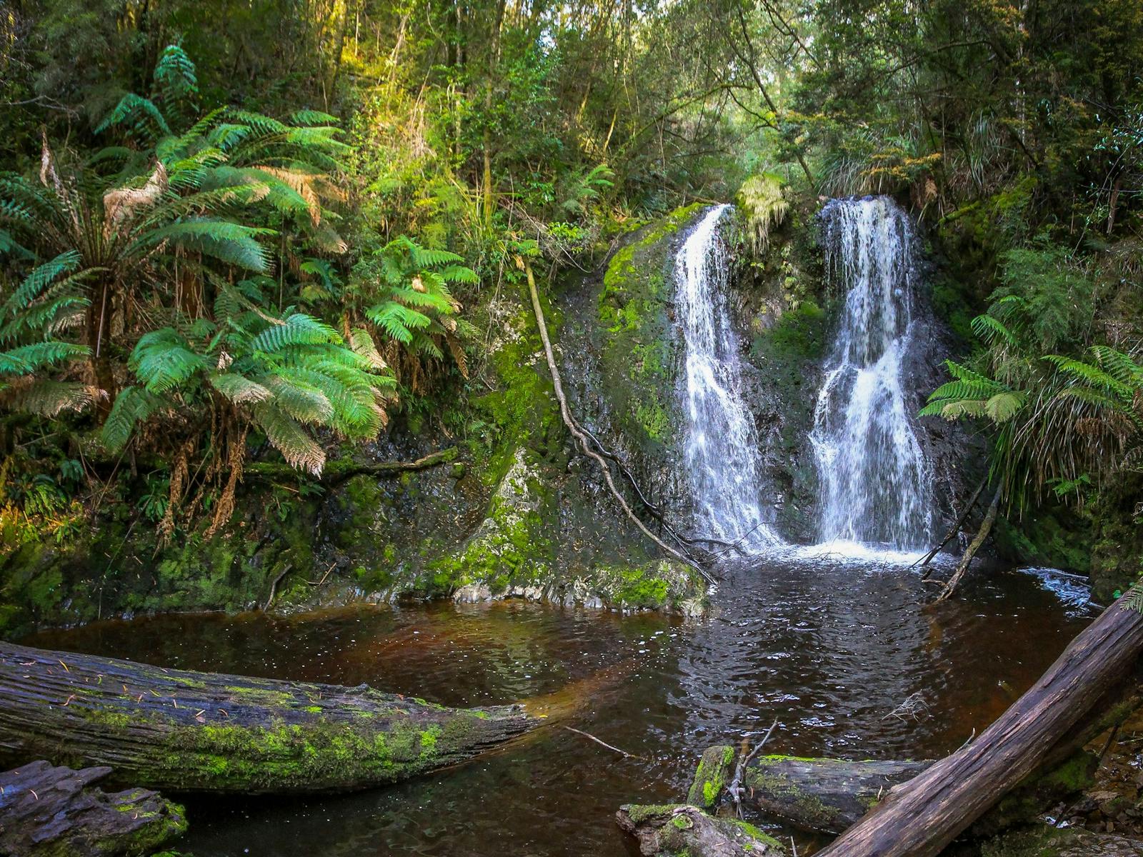 Hogarth Falls - Great Short Walk