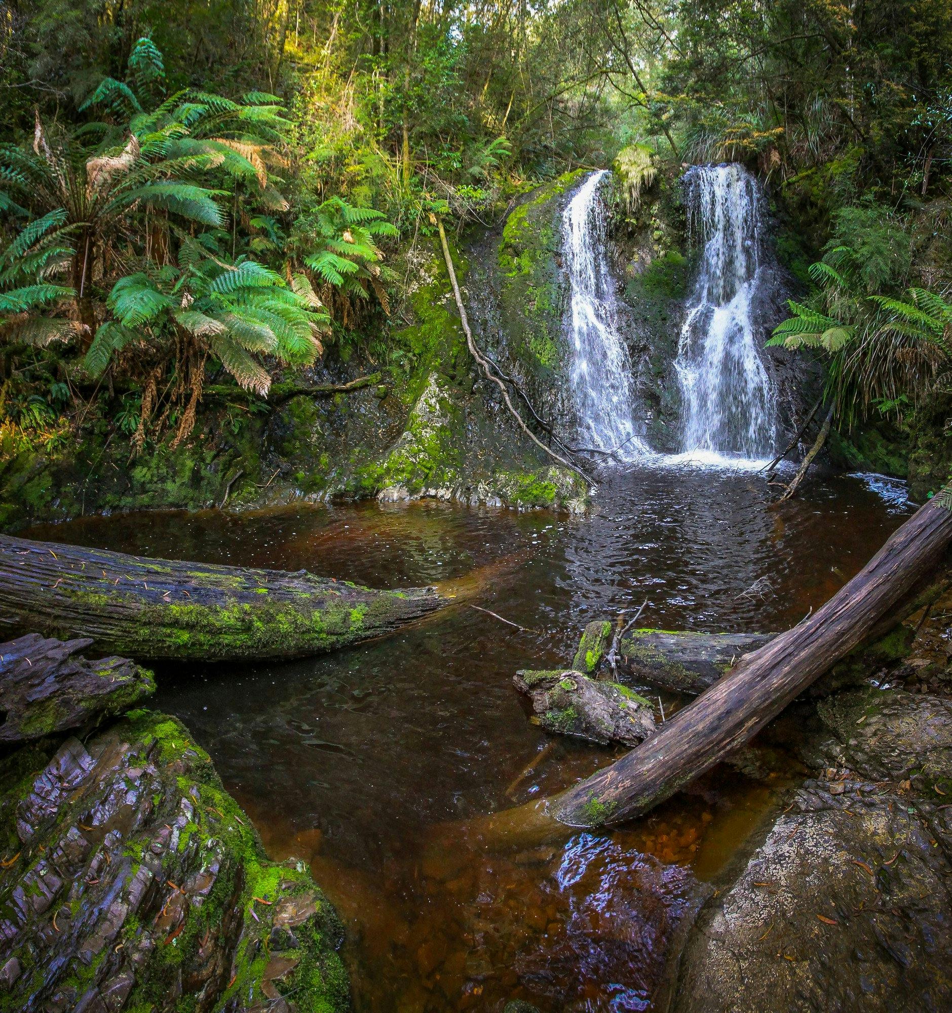 Hogarth Falls – Great Short Walk