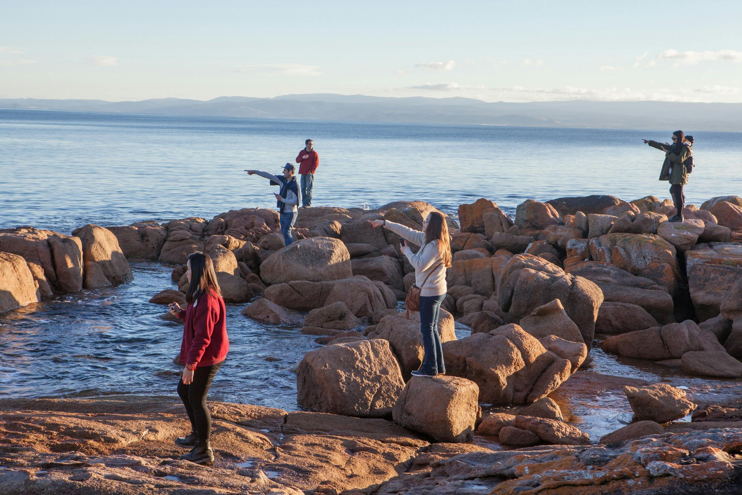 Tour group watch whales in Coles Bay