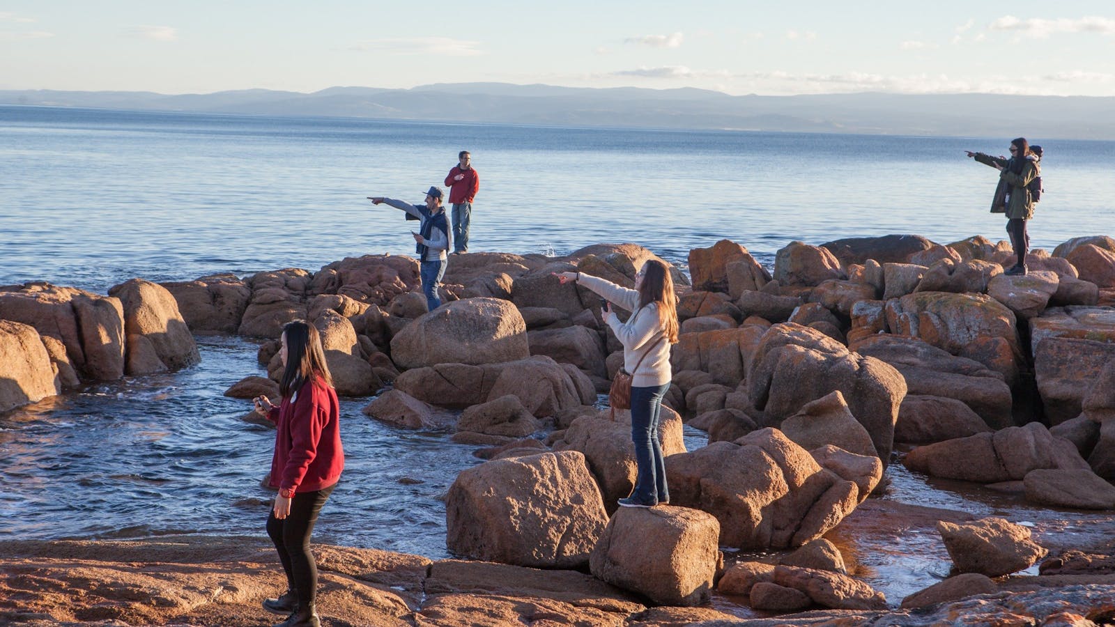 Surrounded by the ocean we often see dolphins and seals on tour and sometimes whales!