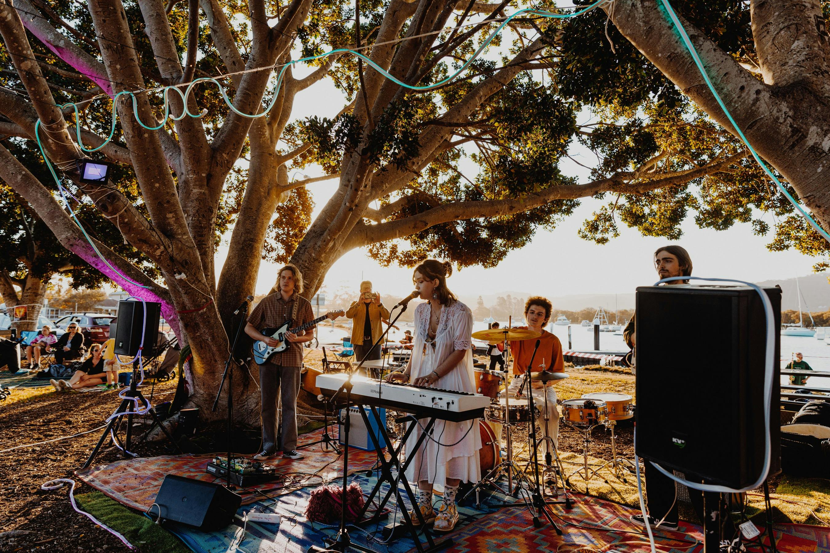 four person band performing at sunset at a waterfront location underneath a large tree