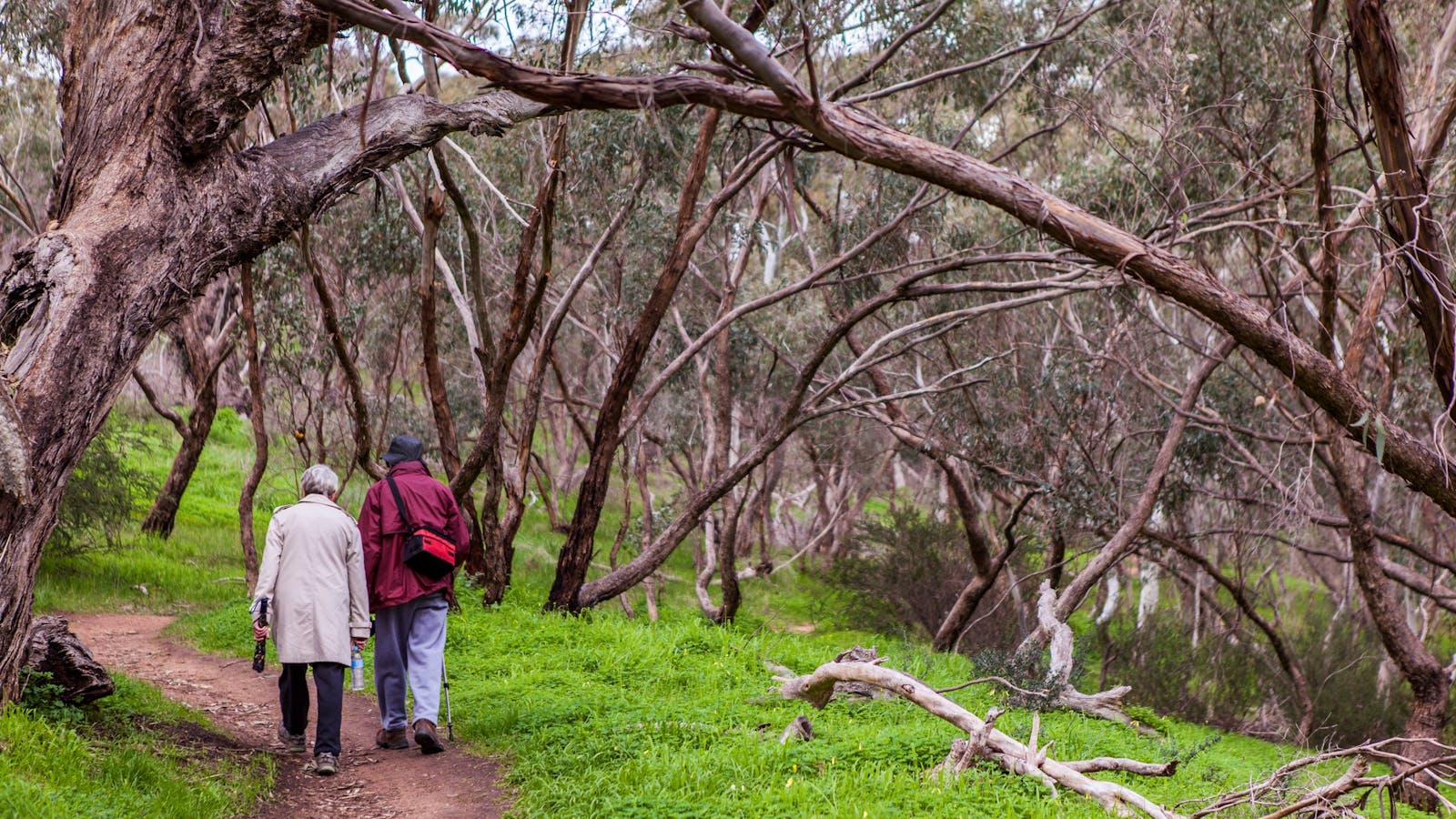 Shepherds Hill Recreation Park