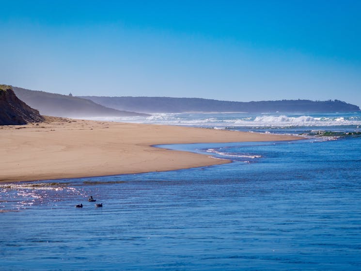 Burrill Lake Entrance Beach