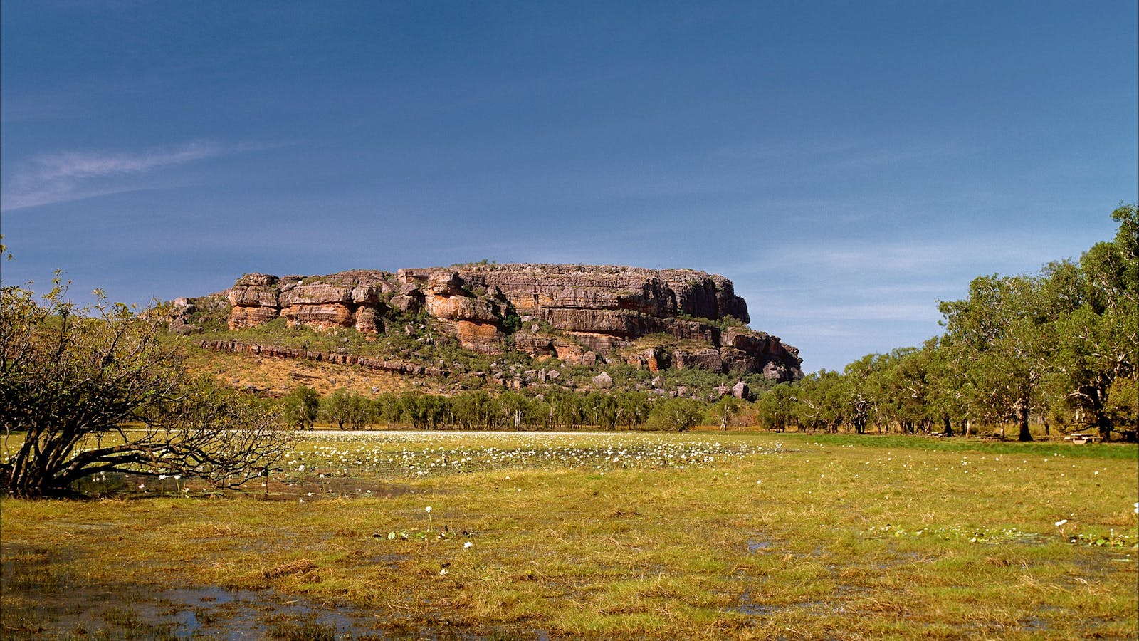Anbangbang Billabong