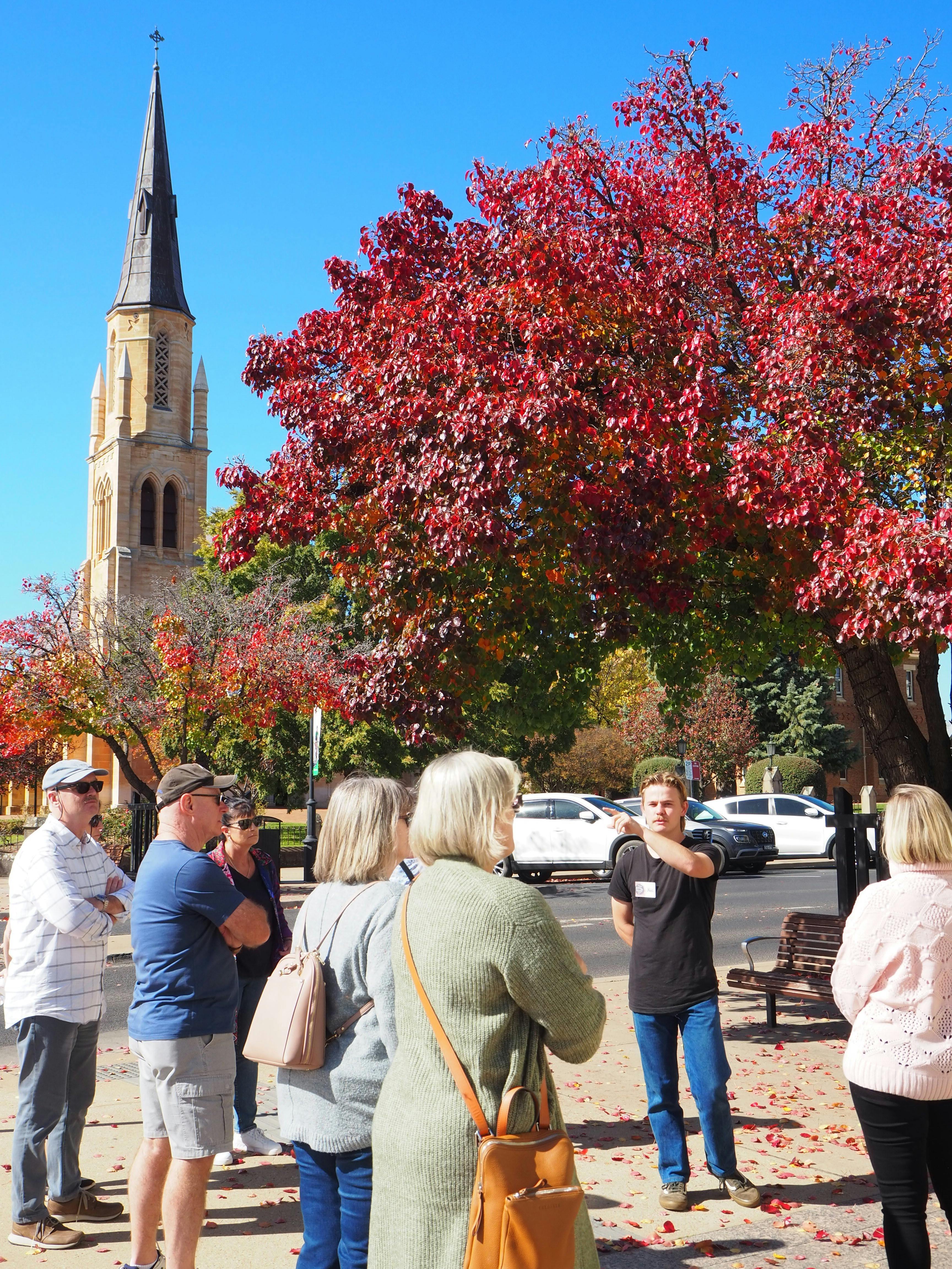 Mudgee's Morning Light