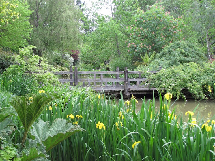 Red Cow Farm Garden