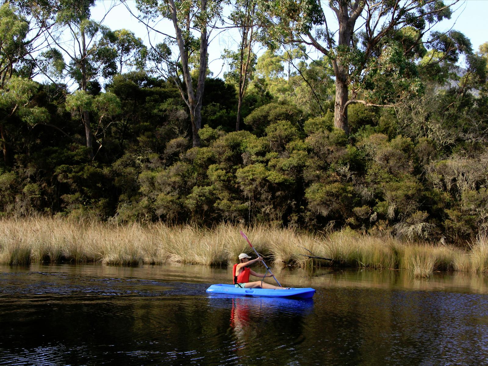 Captain Cook Creek