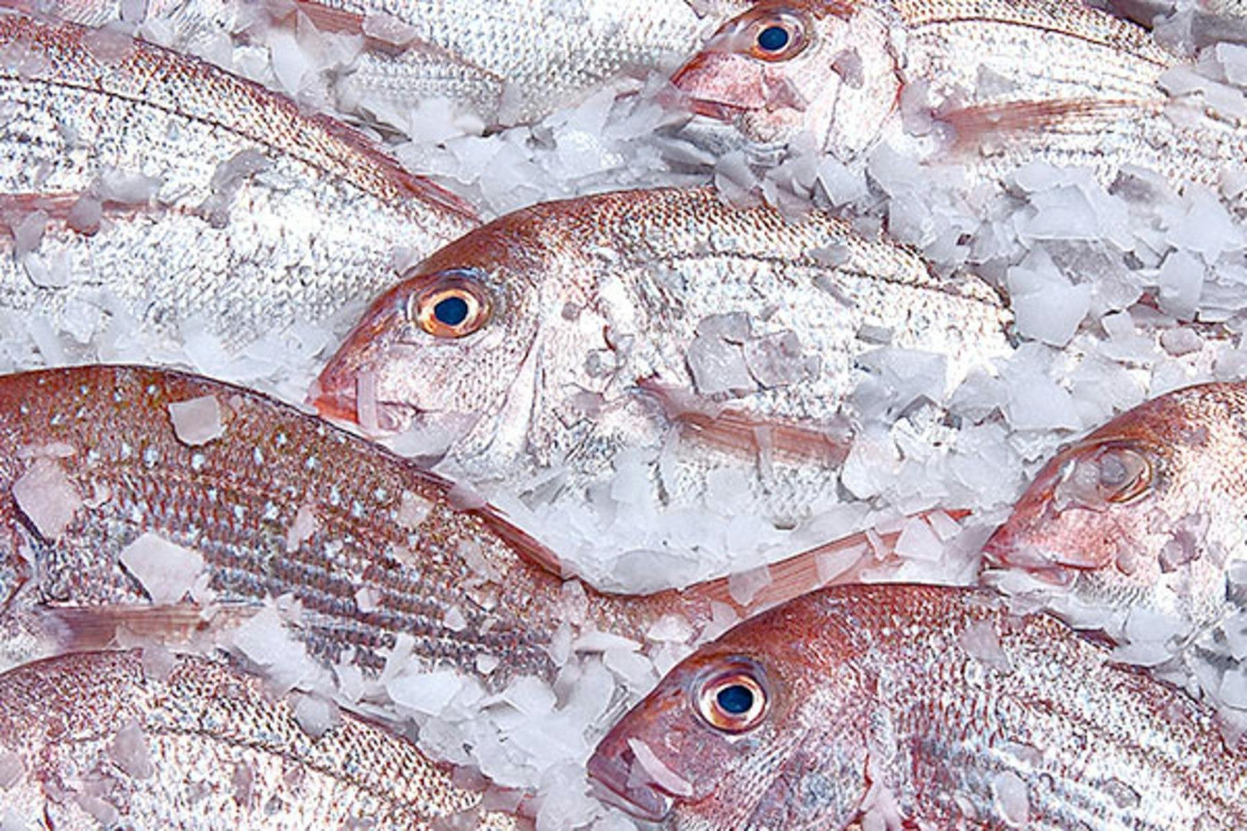 Warrnambool Where to stay, what to do and what's on in