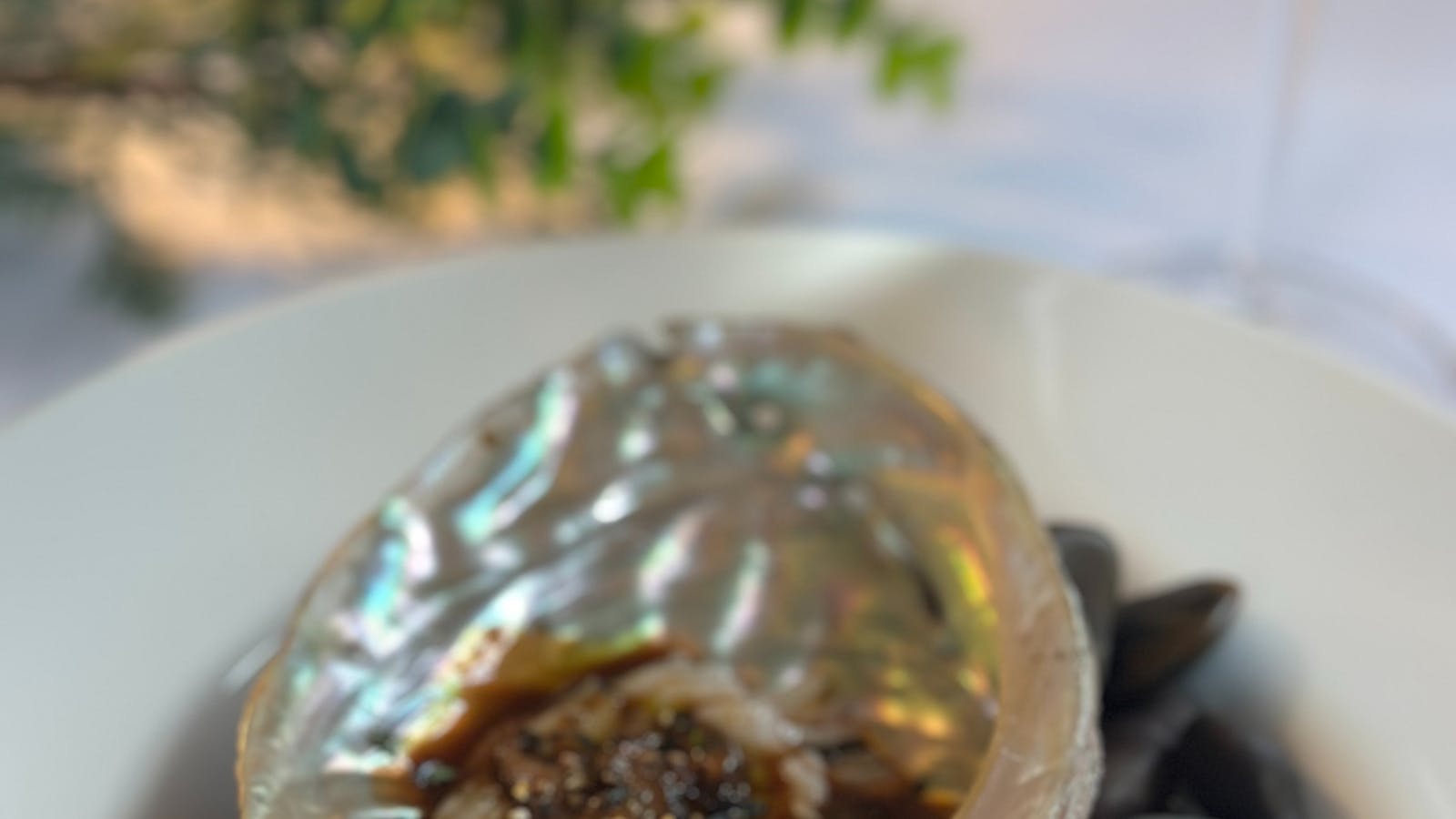 Delicous abalone served in an abalone shell with